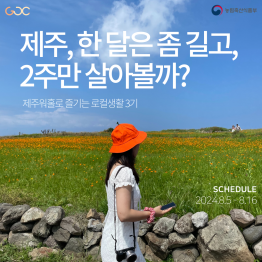 2024 「 제주워홀로 즐기는 로컬 생활 」3기