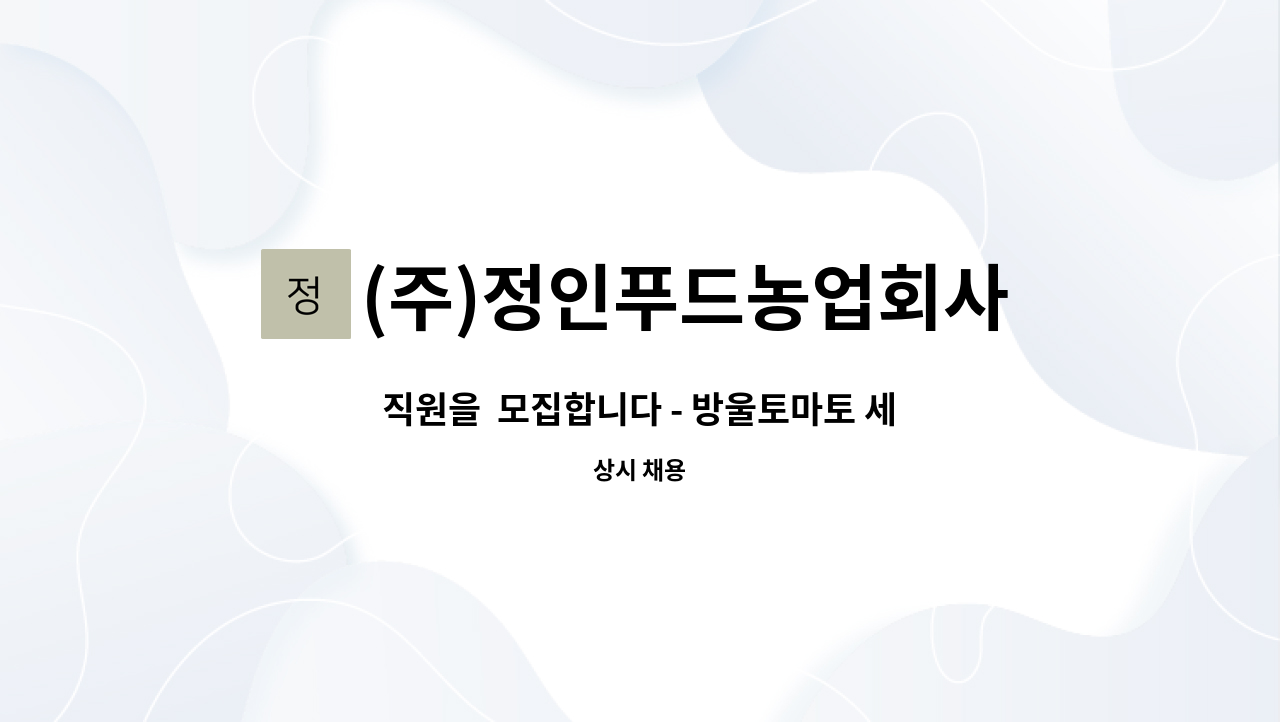 (주)정인푸드농업회사법인 - 직원을  모집합니다 - 방울토마토 세척 및 가공 : 채용 메인 사진 (더팀스 제공)