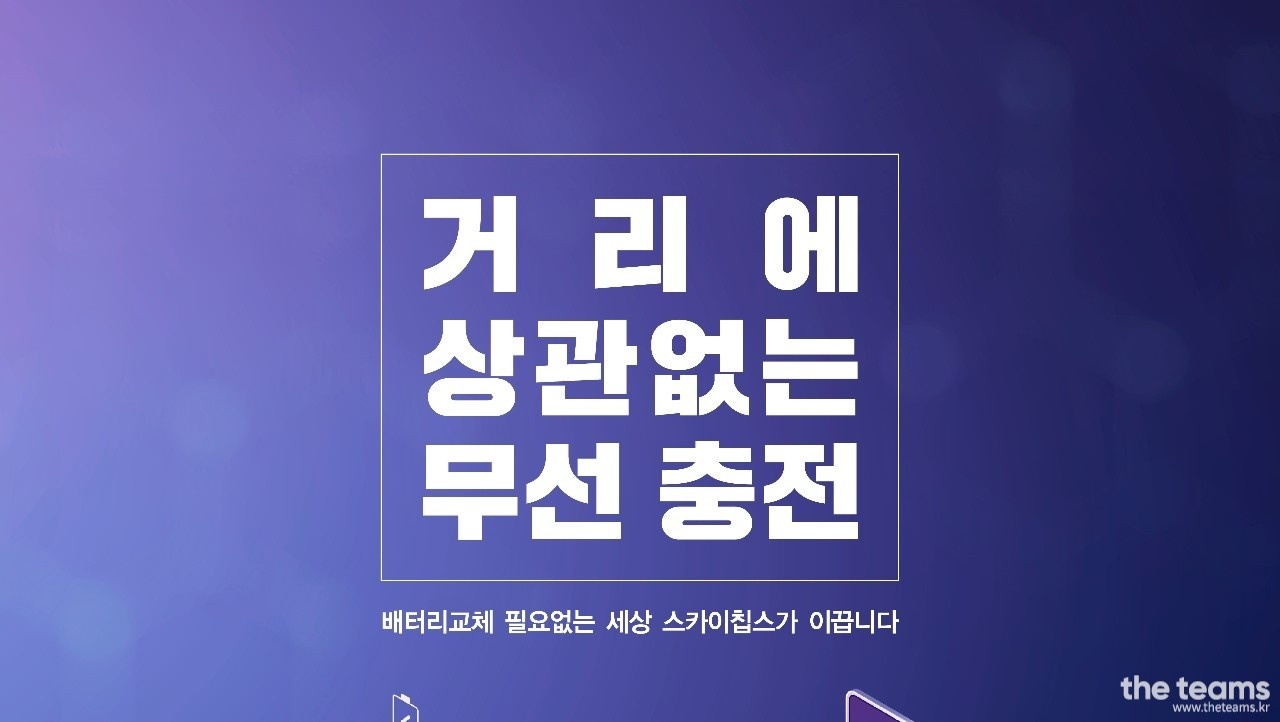 (주)스카이칩스 - 스카이칩스에서 전산관리 담당자를 찾습니다! : 채용 메인 사진 (더팀스 제공)