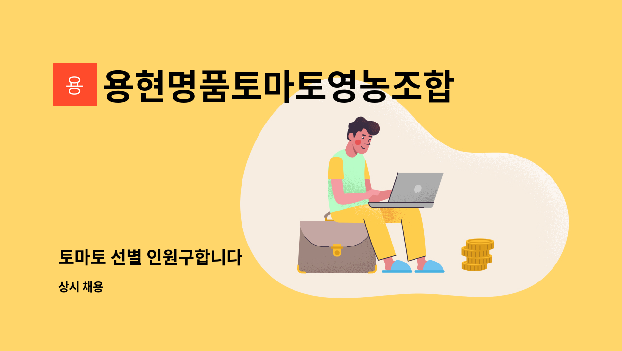 용현명품토마토영농조합법인 - 토마토 선별 인원구합니다 : 채용 메인 사진 (더팀스 제공)